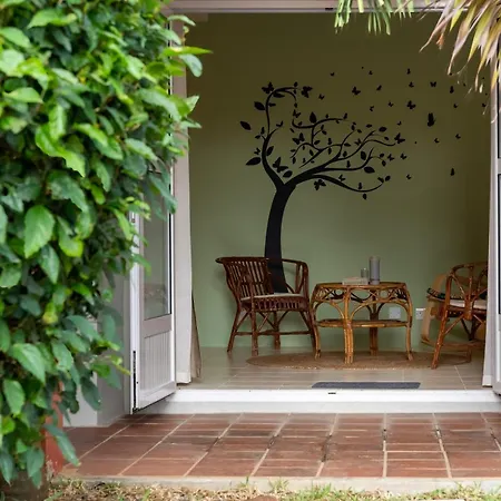 Appartement - A 300M De La Mer Pereybere Beach Exterior photo
